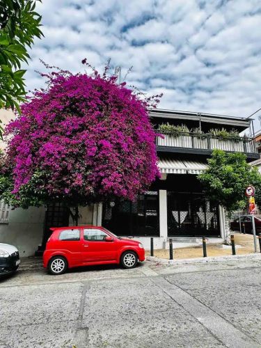 anakainisi-airbnb-petralona-11