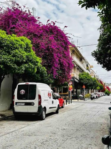 anakainisi-airbnb-petralona-12