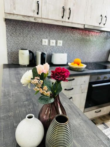 anakainisi-airbnb-petralona-5