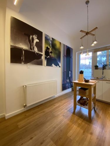 oliki-anakainisi-diamerismatos-sto-galatsi-13